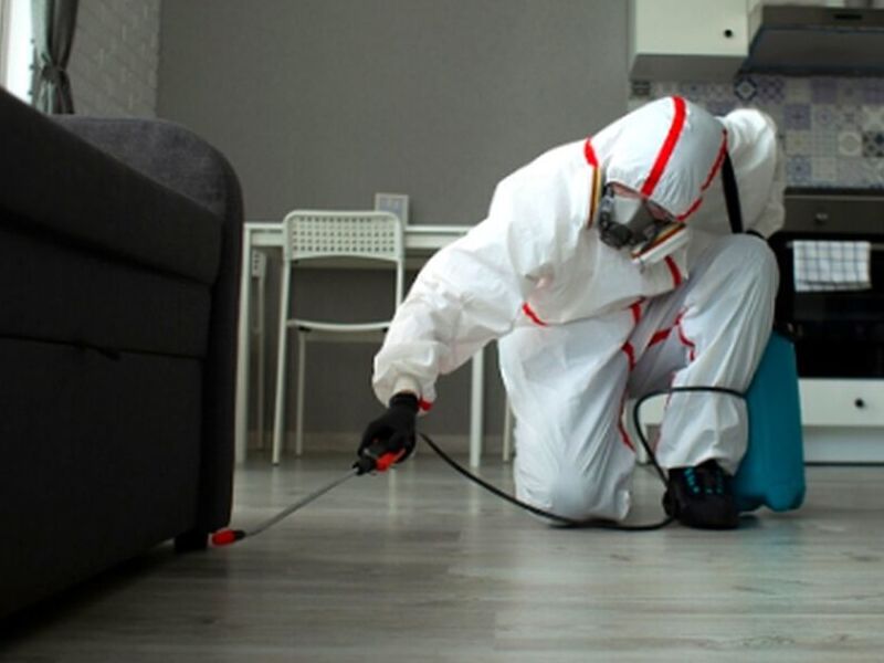 Control de Plagas Ecuador Quito