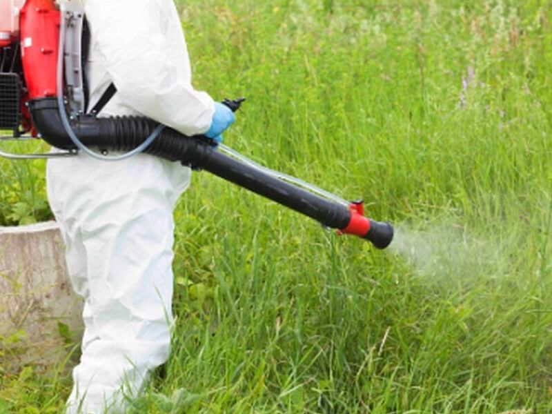 Control de insectos Ecuador