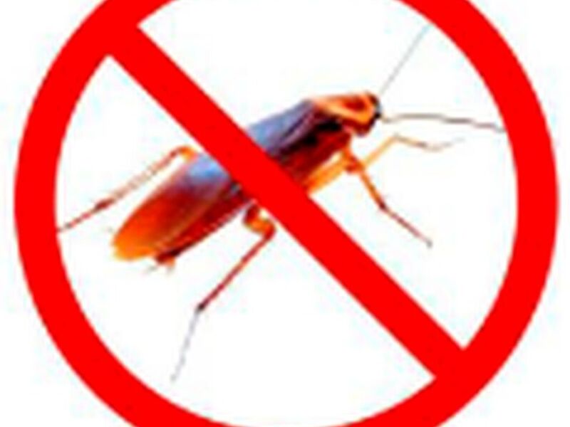 Control de cucarachas Quito