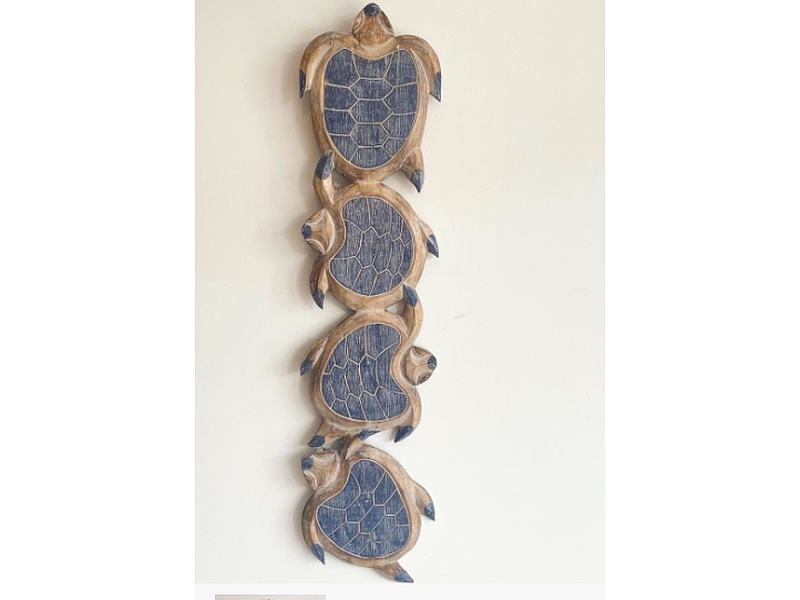 Cuadro tortuga ECUADOR