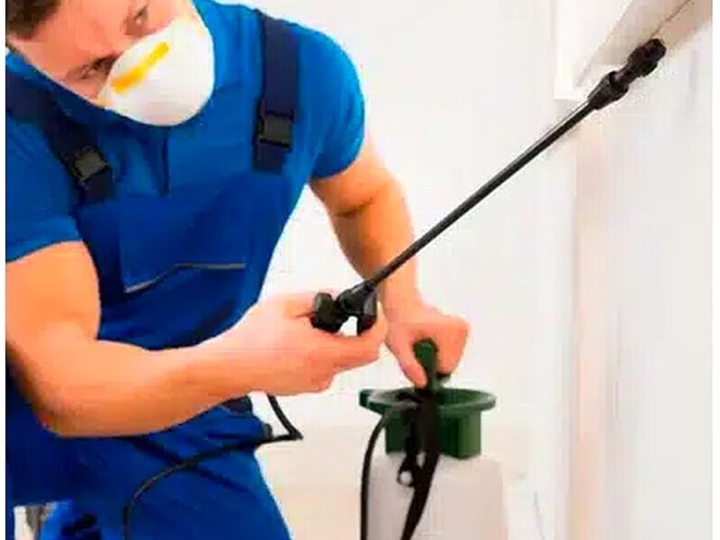 Servicio de Desinsectación Quito