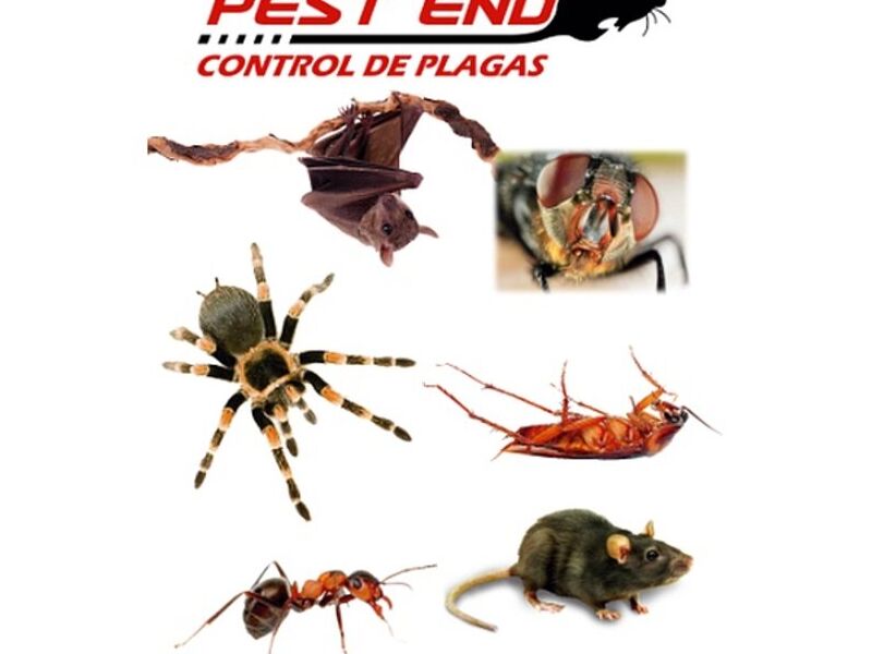 Manejo integrado de plagas Ecuador