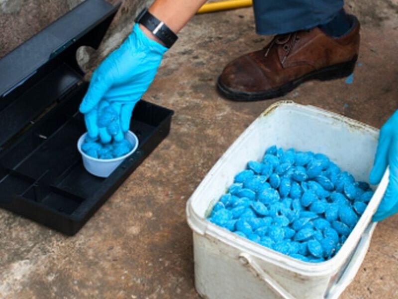 Control de roedores Ecuador