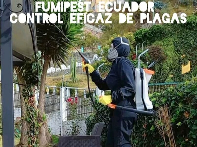 Control de Plagas Ecuador
