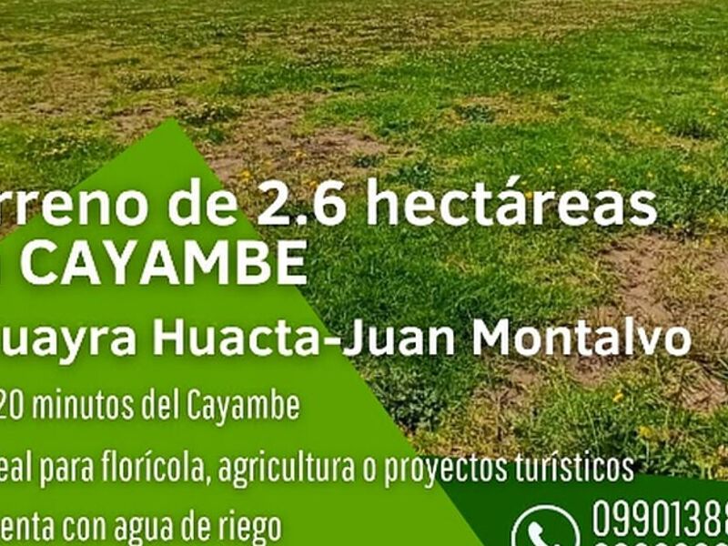 TERRENO EN VENTA RURAL CAYAMBE EC