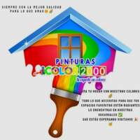 LA BODEGA DEL COLOR