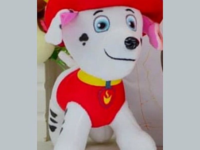 Peluche Infantil 8 Ecuador