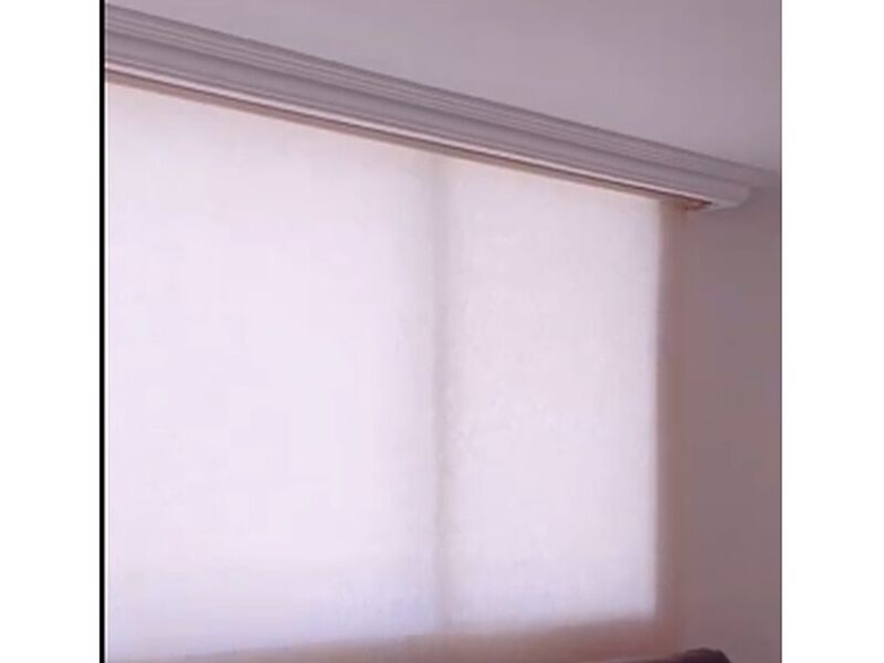 Roller traslucida Ecuador