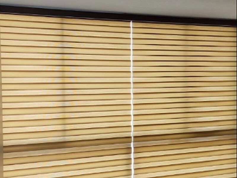 Cortina zebra amarilla Ecuador