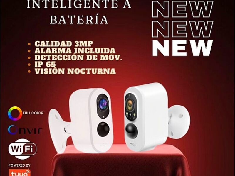 CAMARA DE SEGURIDAD INTELIGENTE AMBATO EC