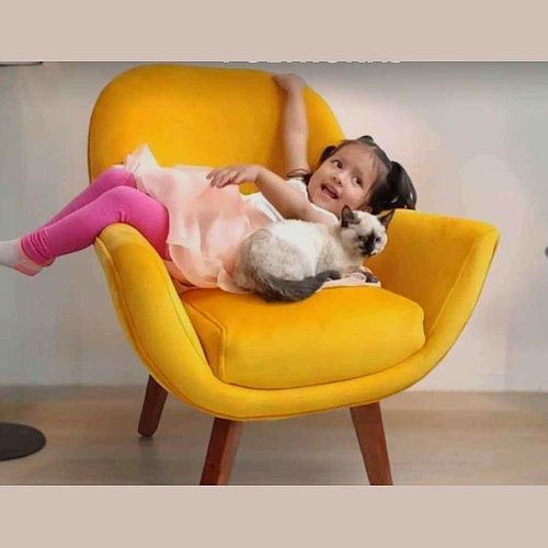 Asiento Ecuador