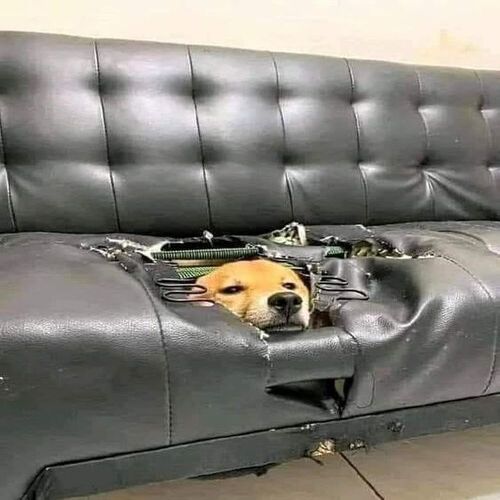 Sillón cómodo Ecuador