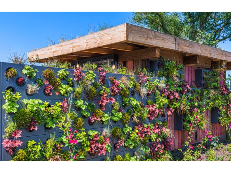 Diseño Jardines Verticales