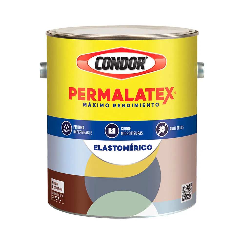 Pintura Cóndor Ecuador 