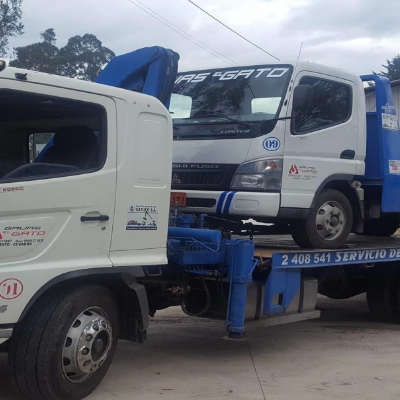 Gruas P&H 25 tns Chile