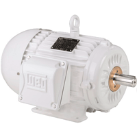 Motor WEG W22 Wash Ecuador 