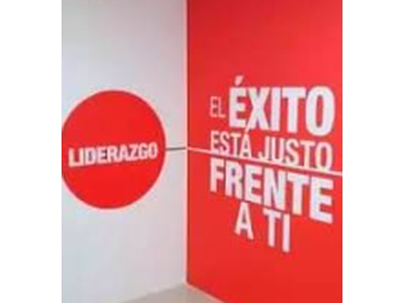  brandeo ventanas publicitarios