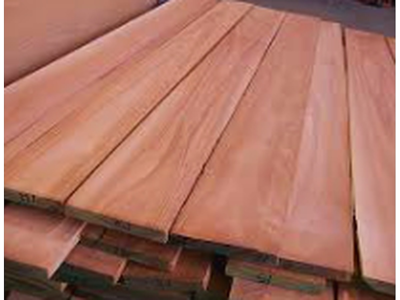 Madera eucalito Ecuador