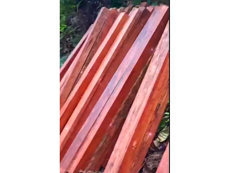 Vigas madera Ecuador