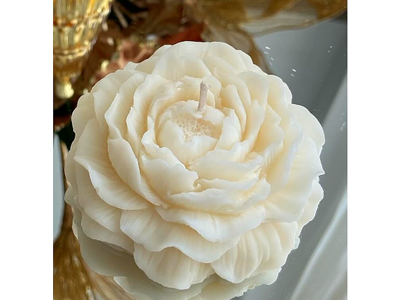 Vela rosa blanca Ecuador