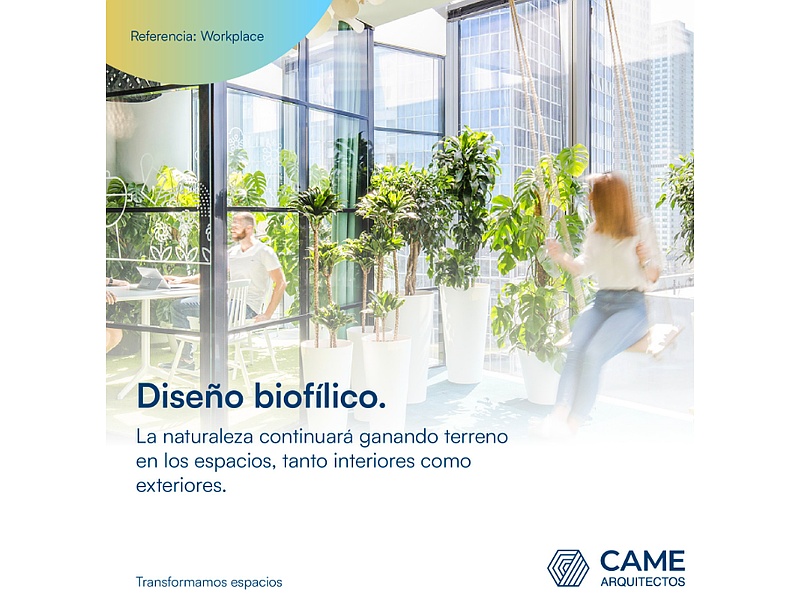 Diseño Biofílico Oficinas Quito