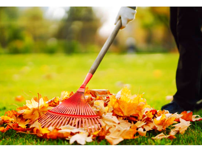 Servicios Jardinería Quito
