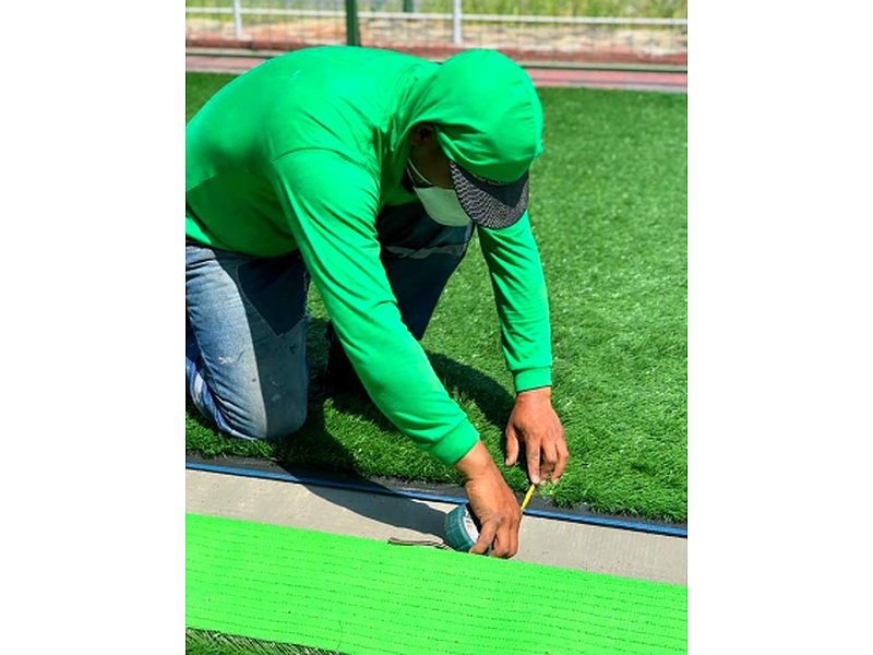 Césped festuca Ecuador