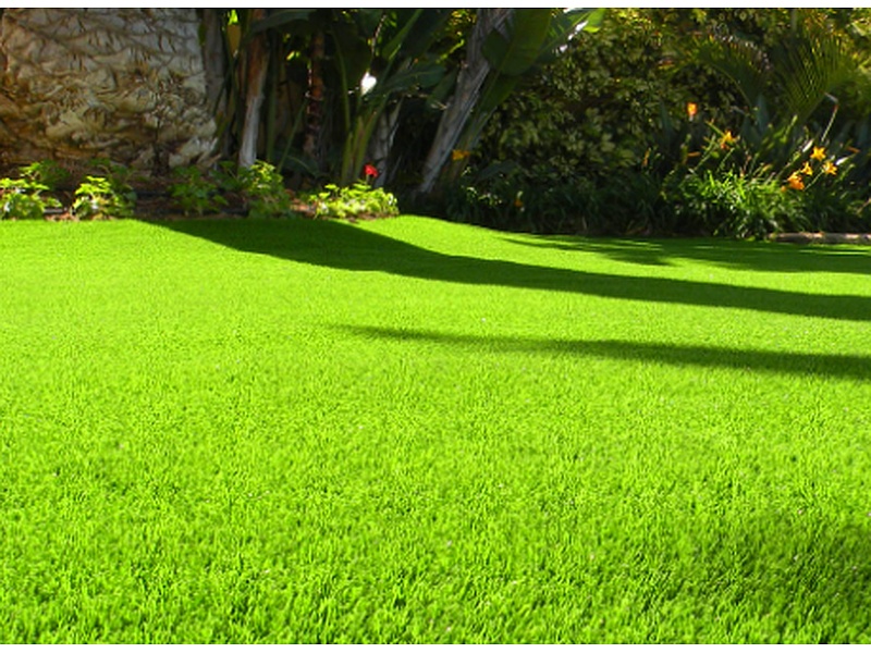 Césped hibrido Ecuador