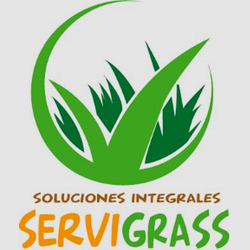 Césped Sintético ServiGrass 