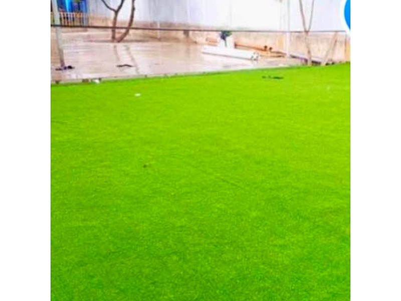 Césped zoysi Ecuador