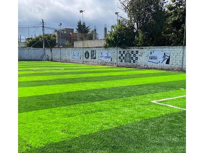 Césped sintético Monofilamento Ecuador