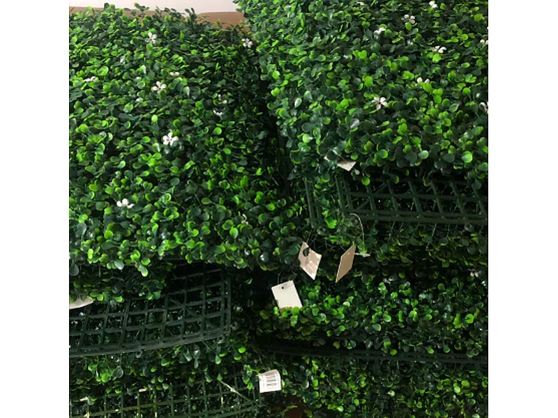 Césped resistente sequía Ecuador