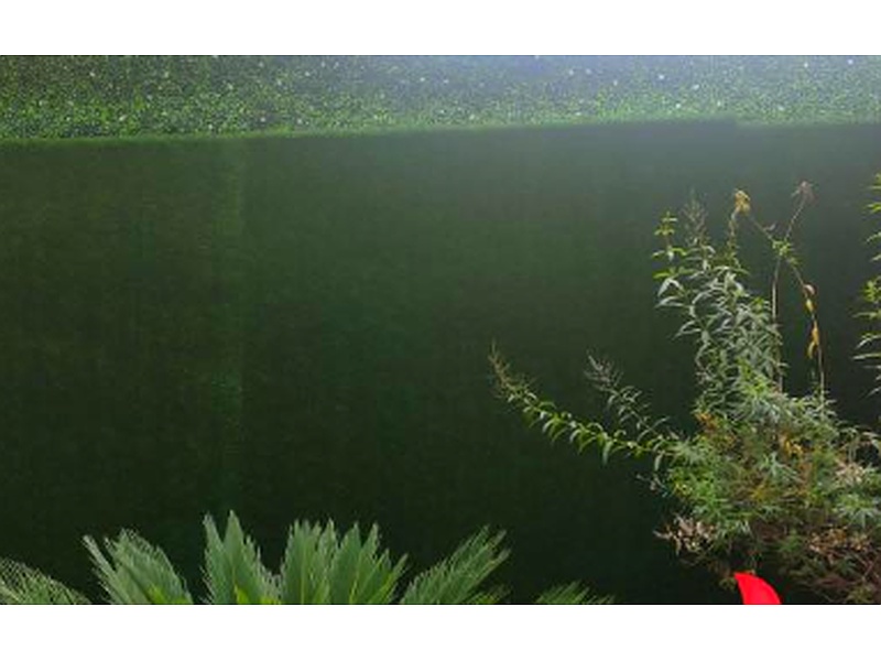 Césped sintético de polietileno Ecuador