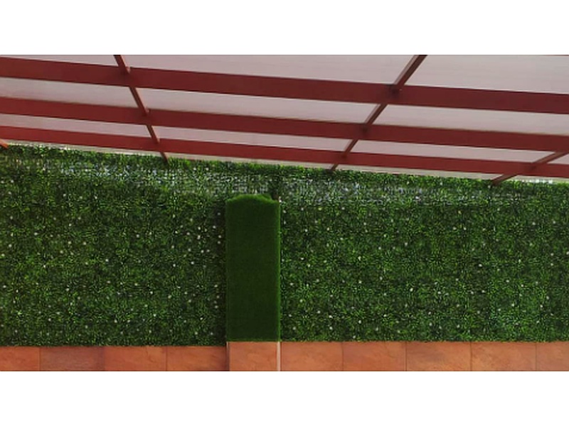 Césped mixto Ecuador