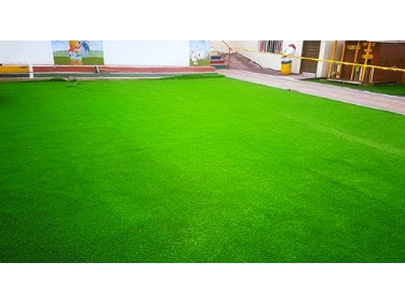 Césped festuca rubra Ecuador