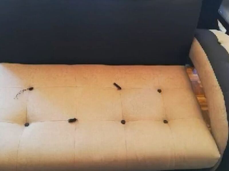 Cuidado de Muebles Ecuador