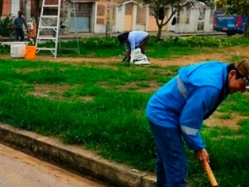 Servicio de recolección basura Ecuador