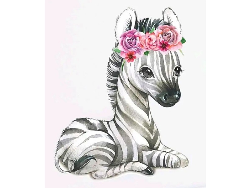 Sticker Cebra Ecuador