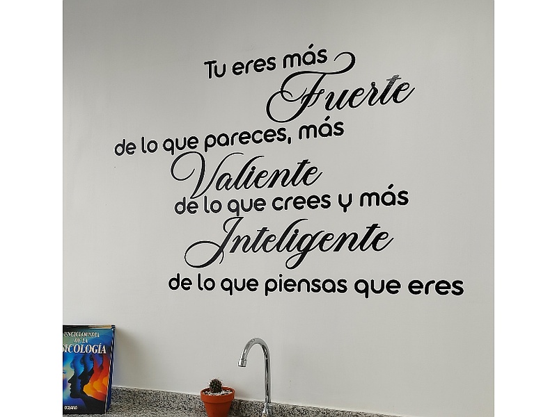 Vinilo decorativo Valiente Ecuador