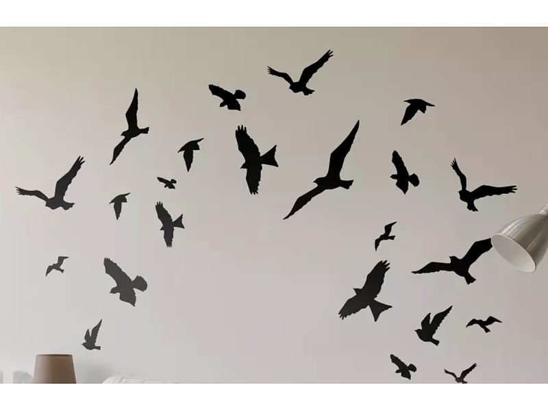 Sticker decorativo Aves Ecuador