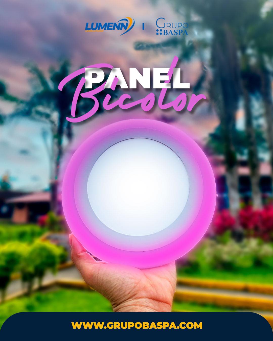 Panel bicolor Ecuador 