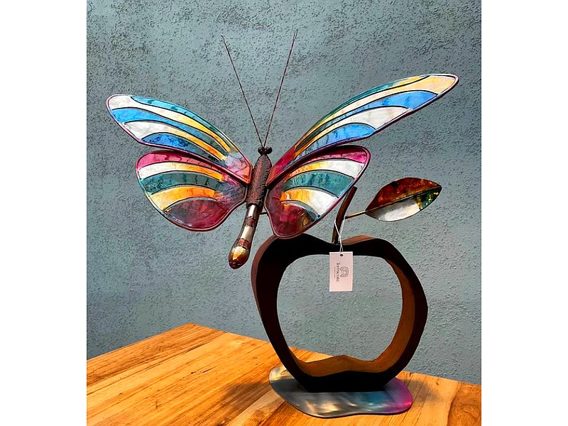 Mariposa Centro Mesa Ecuador