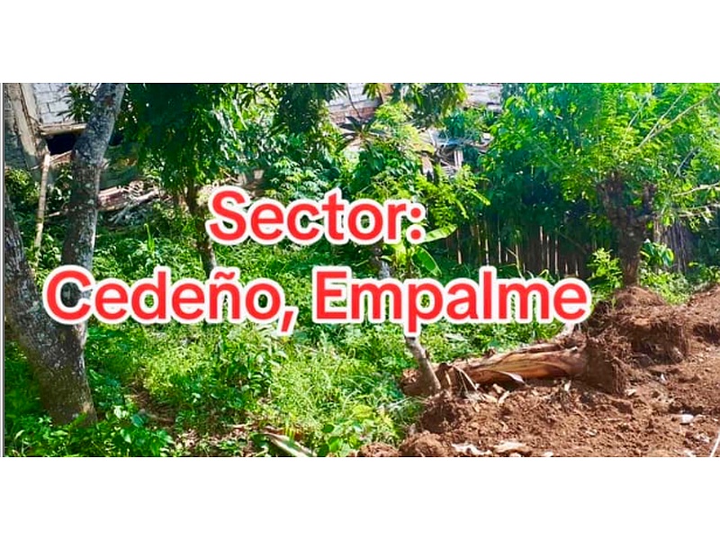 Terrenos Empalme