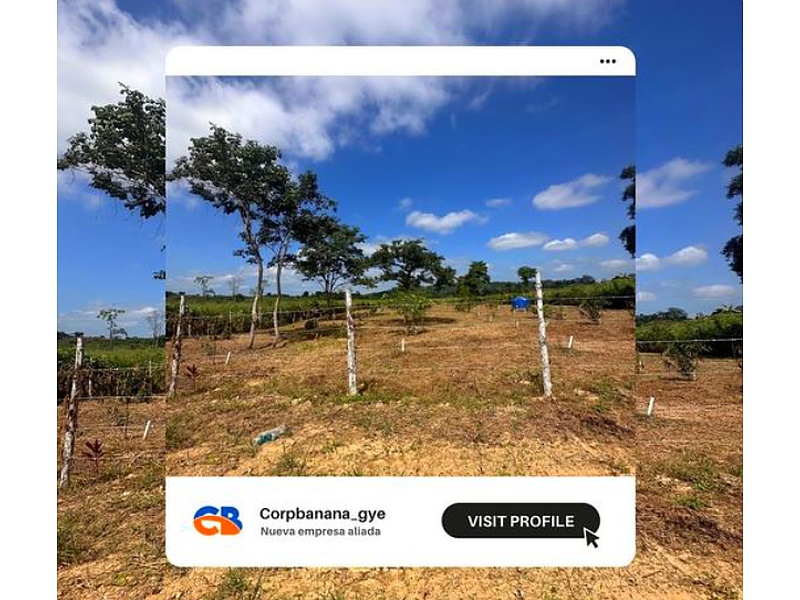 Terreno de 300m2 Guayaquil 