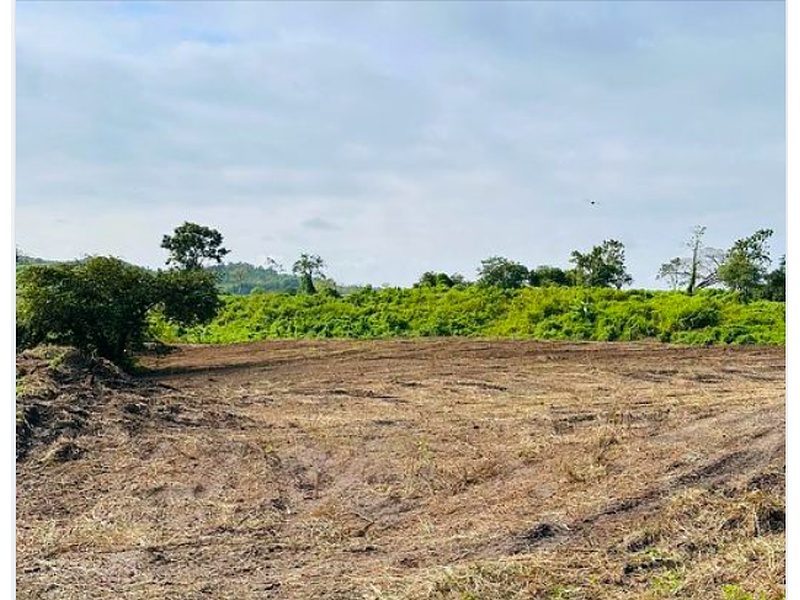 Lotes en venta Guayaquil 