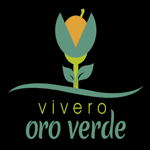 Vivero Oro Verde Ecuador