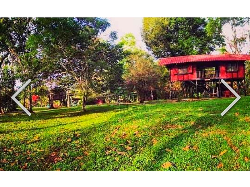 Terreno en venta Tena 