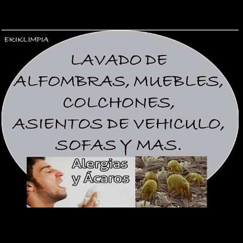 Lavamos Alfombras, Muebles de Sala