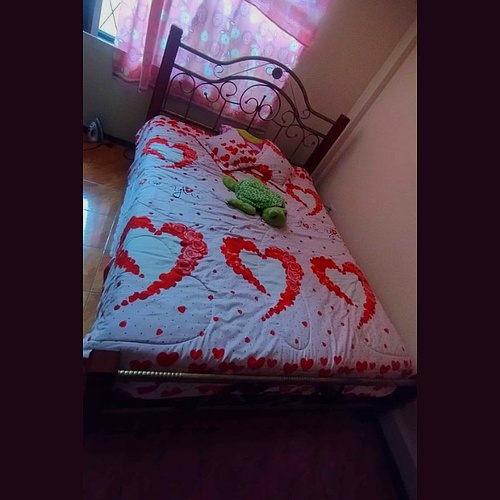 Cama Elegante Ecuador