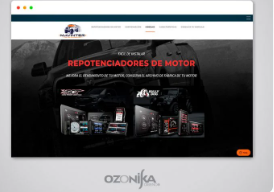 Ecommerce tipo asesoria Ecuador Ozonika